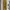Gaudi Minimalist Casual Jumpsuit Wanita yellow photo 4