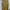 Gaudi Minimalist Casual Jumpsuit Wanita yellow photo 2