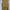 Gaudi Minimalist Casual Jumpsuit Wanita Yellow