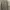 Burberry Casual Formal shirt Pria tan photo 6