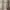 Burberry Casual Formal shirt Pria tan photo 3