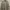 Burberry Casual Formal shirt Pria tan photo 1