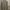 Burberry Casual Formal shirt Pria tan photo 7