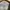 Burberry Casual Formal shirt Pria tan photo 4
