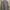 Burberry Luxury Formal shirt Pria blue photo 4