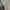 Burberry Luxury Formal shirt Pria blue photo 5