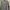 Burberry Luxury Formal shirt Pria blue photo 1