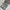 Kipling Casual Shoulder bag Wanita silver tan photo 2