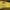 Vintage T-shirt Kids yellow photo 3