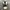 Helmut Lang Y2K Avant Garde Leather jacket Wanita black photo 3