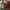 JanSport Streetwear Y2K Backpack Wanita multicolor photo 5