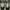 Adidas Streetwear Sneakers Pria white black photo 2