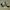 Adidas Streetwear Sneakers Pria white black photo 1