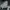 Adidas Streetwear Sneakers Pria white black photo 6