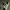Adidas Streetwear Sneakers Pria white black photo 3