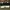 Adidas Streetwear Sneakers Pria white black photo 4