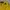 Versace Vintage Luxury Mini skirt Wanita yellow photo 2