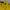 Versace Vintage Luxury Mini Skirt Wanita Yellow