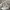 Converse Streetwear Sneakers Pria White Black