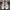 Converse Streetwear Sneakers Pria white black photo 3