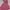 BCBG Max Azria Y2K Fairy Summer dress Wanita pink photo 5