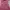 BCBG Max Azria Y2K Fairy Summer dress Wanita pink photo 3