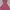 BCBG Max Azria Y2K Fairy Summer dress Wanita pink photo 1