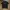 Oakley Streetwear Sportswear T-shirt Pria black photo 1