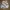 Dickies Sportswear Short Pria multicolor photo 3