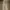 Dickies Sportswear Casual pants Pria multicolor photo 2