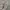 Adidas Y2K Casual Sneakers Pria white black photo 5