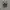Adidas Y2K Casual Sneakers Pria white black photo 3