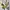 Stussy Streetwear T-shirt Pria white photo 5