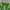 Eider Sportswear Windbreaker Pria green photo 5