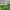 Eider Sportswear Windbreaker Pria green photo 4