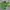 Eider Sportswear Windbreaker Pria green photo 1