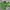 Eider Sportswear Windbreaker Pria Green