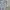 Barbour Streetwear Gorpcore Track jacket Pria silver blue photo 3