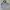 Barbour Streetwear Gorpcore Track jacket Pria silver blue photo 1