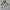 Barbour Streetwear Gorpcore Track Jacket Pria Silver Blue