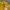Nike Vintage Casual Windbreaker Pria yellow photo 6