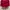 Sportswear Short Pria red photo 2
