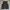 Uniqlo Streetwear Skater Puffer Jacket Pria Brown