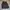 Uniqlo Streetwear Skater Puffer jacket Pria brown photo 3