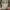 Vintage Streetwear Track jacket Pria gray photo 1