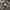 Carhartt Casual Hoody Pria multicolor photo 4