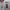 Nike Vintage Sportswear Jersey Pria burgundy white photo 4