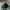 Nike Luxury Minimalist Sneakers Pria black photo 1