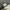 Carhartt Casual Hat Pria Gray