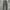 Dickies Vintage Casual Jeans Pria Green